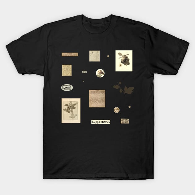 Fig Ephemera Aesthetic Sheet T-Shirt by LochNestFarm